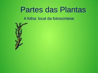 Partes das Plantas
A folha: local da fotossíntese
 