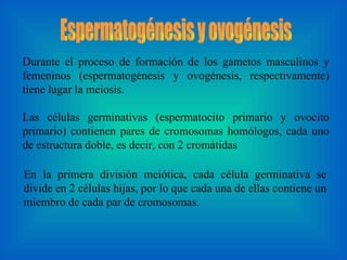 Espermatogénesis y ovogénesis Durante el proceso de formación de los gametos masculinos y femeninos (espermatogénesis y ovogénesis, respectivamente) tiene lugar la meiosis.  Las células germinativas (espermatocito primario y ovocito primario) contienen pares de cromosomas homólogos, cada uno de estructura doble, es decir, con 2 cromátidas En la primera división meiótica, cada célula germinativa se divide en 2 células hijas, por lo que cada una de ellas contiene un miembro de cada par de cromosomas . 