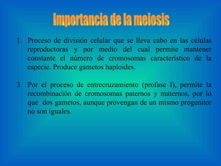 Proceso de división celular que se lleva cabo en las células reproductoras y por medio del cual permite mantener constante el número de cromosomas característico de la especie. Produce gametos haploides. Por el proceso de entrecruzamiento (profase I), permite la recombinación de cromosomas paternos y maternos, por lo que  dos gametos, aunque provengan de un mismo progenitor no son iguales. Importancia de la meiosis 