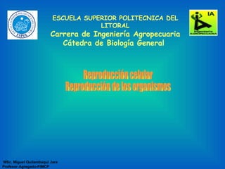 ESCUELA SUPERIOR POLITECNICA DEL LITORAL Carrera de Ingeniería Agropecuaria Cátedra de Biología General  MSc.  Miguel Quilambaqui Jara P rofesor Agregado-FIMCP Reproducción celular  Reproducción de los organismos 