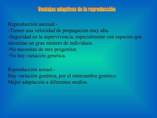 Reproducción asexual.-  -Tienen una velocidad de propagación muy alta. -Seguridad en la supervivencia, especialmente con especies que necesitan un gran número de individuos. No necesitan de otro progenitor.  No hay variación genética. Reproducción sexual.- Hay variación genética, por el intercambio genético Mejor adaptación a diferentes medios. Ventajas adaptivas de la reproducción 