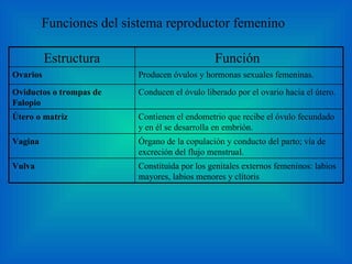 Funciones del sistema reproductor femenino Estructura Función  Ovarios Producen óvulos y hormonas sexuales femeninas. Oviductos o trompas de Falopio Conducen el óvulo liberado por el ovario hacia el útero. Útero o matriz Contienen el endometrio que recibe el óvulo fecundado y en él se desarrolla en embrión. Vagina Órgano de la copulación y conducto del parto; vía de excreción del flujo menstrual. Vulva Constituida por los genitales externos femeninos: labios mayores, labios menores y clítoris 