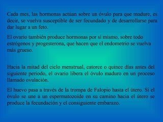 Hacia la mitad del ciclo menstrual, catorce o quince días antes del siguiente periodo, el ovario libera el óvulo maduro en un proceso llamado ovulación.  El huevo pasa a través de la trompa de Falopio hasta el útero. Si el óvulo se une a un espermatozoide en su camino hacia el útero se produce la fecundación y el consiguiente embarazo. Cada mes, las hormonas actúan sobre un óvulo para que madure, es decir, se vuelva susceptible de ser fecundado y de desarrollarse para dar lugar a un feto.  El ovario también produce hormonas por sí mismo, sobre todo estrógenos y progesterona, que hacen que el endometrio se vuelva más grueso.  