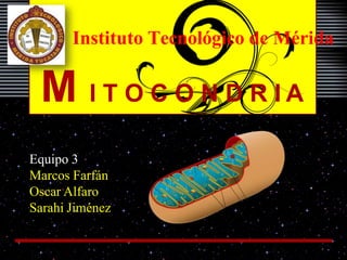 M I T O C O N D R I A
Equipo 3
Marcos Farfán
Oscar Alfaro
Sarahi Jiménez
Instituto Tecnológico de Mérida
 