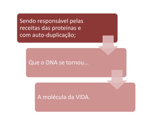 Como fica o DNA na interfase?