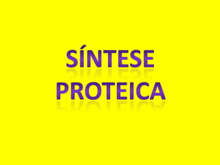 FUNÇÃO DO DNAO DNA É POR ASSIM DIZER A PROGRAMAÇÃO DE CADA CÉLULA. NELE FICA A INFORMAÇÃO GENÉTICA (OS  GENES).A INFORMAÇÃO GENÉTICA ESTÁ GUARDADA NA ORDEM EM QUE OS NUCLEOTÍDEOS APARECEM NA MOLÉCULA.ALTERANDO A ORDEM DOS NUCLEOTÍDEOS MUDAMOS A INFORMAÇÃO GENÉTICA: SÃO AS MUTAÇÕES.