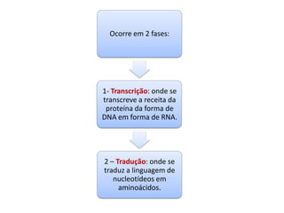 RNAO RNA É PRODUZIDO A PARTIR DO DNA POR UM PROCESSO CHAMADO TRANSCRIÇÃO.O RNA TEM SEMPRE CADEIA SIMPLES.AO INVÉS DE DESOXIRRIBOSE TEM RIBOSE.EM LUGAR DA TIMINA TEM URACILA.O RNA AUXILIA O DNA NO CUMPRIMENTO DA INFORMAÇÃO GENÉTICA, AJUDANDO-O A PRODUZIR AS PROTEÍNAS DA CÉLULA.