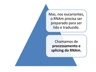 Exemplo de divisão celular: Mitose.