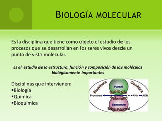 B IOLOGÍA             MOLECULAR


Es la disciplina que tiene como objeto el estudio de los
procesos que se desarrollan en los seres vivos desde un
punto de vista molecular.

Es el estudio de la estructura, función y composición de las moléculas
                      biológicamente importantes

Disciplinas que intervienen:
Biología
Química
Bioquímica
 