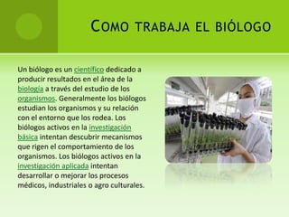 C OMO TRABAJA EL BIÓLOGO

Un biólogo es un científico dedicado a
producir resultados en el área de la
biología a través del estudio de los
organismos. Generalmente los biólogos
estudian los organismos y su relación
con el entorno que los rodea. Los
biólogos activos en la investigación
básica intentan descubrir mecanismos
que rigen el comportamiento de los
organismos. Los biólogos activos en la
investigación aplicada intentan
desarrollar o mejorar los procesos
médicos, industriales o agro culturales.
 