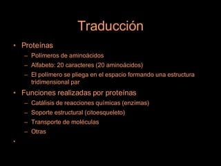 Traducción
• Proteínas
    – Polímeros de aminoácidos
    – Alfabeto: 20 caracteres (20 aminoácidos)
    – El polímero se pliega en el espacio formando una estructura
      tridimensional par
• Funciones realizadas por proteínas
    – Catálisis de reacciones químicas (enzimas)
    – Soporte estructural (citoesqueleto)
    – Transporte de moléculas
    – Otras
•
 