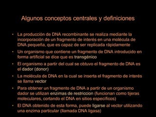 Algunos conceptos centrales y definiciones

• La producción de DNA recombinante se realiza mediante la
  incorporación de un fragmento de interés en una molécula de
  DNA pequeña, que es capaz de ser replicada rápidamente
• Un organismo que contiene un fragmento de DNA introducido en
  forma artificial se dice que es transgénico
• El organismo a partir del cual se obtuvo el fragmento de DNA es
  el dador (donor)
• La molécula de DNA en la cual se inserta el fragmento de interés
  se llama vector
• Para obtener un fragmento de DNA a partir de un organismo
  dador se utilizan enzimas de restriccion (funcionan como tijeras
  moleculares, cortando el DNA en sitios específicos)
• El DNA obtenido de esta forma, puede ligarse al vector utilizando
  una enzima particular (llamada DNA ligasa)
 