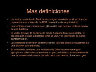 Mas definiciones
•   Un vector conteniendo DNA de otro origen insertado en él se dice que
    representa una molécula de DNA recombinante (o quimérica)
•   Los vectores más comunes son plásmidos que pueden replicar dentro
    de una bacteria
•   El vector (DNA) y la bacteria (la célula hospedadora) se mezclan. El
    proceso por el cual la bacteria toma el DNA y lo internaliza se llama
    transformación.
•   Las bacterias se dividen en forma clonal (las dos células resultantes de
    una división son idénticas)
•   Si la bacteria contiene una molécula de DNA recombinante (por
    ejemplo un plásmido conteniendo un gen de interés), el aislamiento de
    una (una) célula (clon) nos permite decir que hemos clonado un gen
 