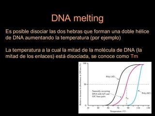 DNA melting
Es posible disociar las dos hebras que forman una doble hélice
de DNA aumentando la temperatura (por ejemplo)

La temperatura a la cual la mitad de la molécula de DNA (la
mitad de los enlaces) está disociada, se conoce como Tm
 
