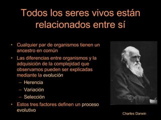 Todos los seres vivos están
       relacionados entre sí
• Cualquier par de organismos tienen un
  ancestro en común
• Las diferencias entre organismos y la
  adquisición de la complejidad que
  observamos pueden ser explicadas
  mediante la evolución
   – Herencia
   – Variación
   – Selección
• Estos tres factores definen un proceso
  evolutivo
                                           Charles Darwin
 