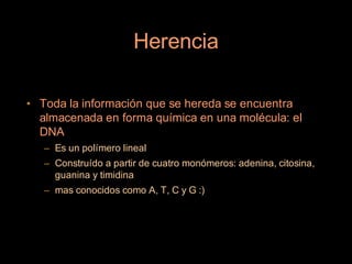 Herencia

• Toda la información que se hereda se encuentra
  almacenada en forma química en una molécula: el
  DNA
   – Es un polímero lineal
   – Construído a partir de cuatro monómeros: adenina, citosina,
     guanina y timidina
   – mas conocidos como A, T, C y G :)
 