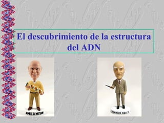 El descubrimiento de la estructura
            del ADN
 