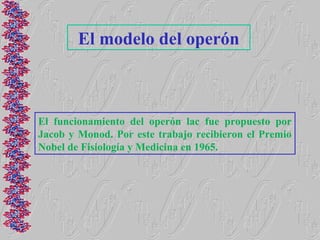 El modelo del operón



El funcionamiento del operón lac fue propuesto por
Jacob y Monod. Por este trabajo recibieron el Premio
Nobel de Fisiología y Medicina en 1965.
 