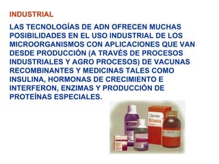 INDUSTRIAL
LAS TECNOLOGÍAS DE ADN OFRECEN MUCHAS
POSIBILIDADES EN EL USO INDUSTRIAL DE LOS
MICROORGANISMOS CON APLICACIONES QUE VAN
DESDE PRODUCCIÓN (A TRAVÉS DE PROCESOS
INDUSTRIALES Y AGRO PROCESOS) DE VACUNAS
RECOMBINANTES Y MEDICINAS TALES COMO
INSULINA, HORMONAS DE CRECIMIENTO E
INTERFERON, ENZIMAS Y PRODUCCIÓN DE
PROTEÍNAS ESPECIALES.
 