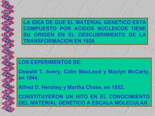 LA IDEA DE QUE EL MATERIAL GENETICO ESTA
 COMPUESTO POR ACIDOS NUCLEICOS TIENE
 SU ORIGEN EN EL DESCUBRIMIENTO DE LA
 TRANSFORMACION EN 1928



LOS EXPERIMENTOS DE:
Oswald T. Avery, Colin MacLeod y Maclyn McCarty,
en 1944.
Alfred D. Hershey y Martha Chase, en 1952,
CONSTITUYERON UN HITO EN EL CONOCIMIENTO
DEL MATERIAL GENETICO A ESCALA MOLECULAR
 