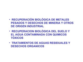 • RECUPERACIÓN BIOLÓGICA DE METALES
  PESADOS Y DESECHOS DE MINERIA Y OTROS
  DE ORIGEN INDUSTRIAL
• RECUPERACION BIOLÓGICA DEL SUELO Y
  EL AGUA CONTAMINADA CON QUIMICOS
  TÓXICOS
• TRATAMIENTOS DE AGUAS RESIDUALES Y
  DESECHOS ORGANICOS
 