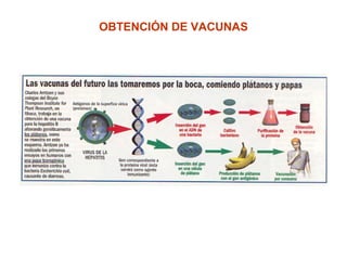 OBTENCIÓN DE VACUNAS
 