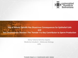 Flip of Mitotic Spindle Has Disastrous Consequences for Epithelial Cells
and
Sex Chromosome Shocker: The 'Female' X a Key Contributor to Sperm Production
Deisy Tatiana Sánchez Zapata
Medicine Estudent – Molecular Biology
UPB
 