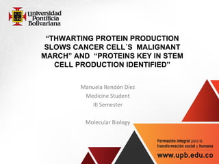 “THWARTING PROTEIN PRODUCTION
SLOWS CANCER CELL´S MALIGNANT
MARCH” AND “PROTEINS KEY IN STEM
CELL PRODUCTION IDENTIFIED”
 
Manuela Rendón Díez
Medicine Student
III Semester
Molecular Biology
 