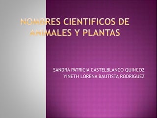 SANDRA PATRICIA CASTELBLANCO QUINCOZ
YINETH LORENA BAUTISTA RODRIGUEZ
 