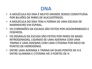 DNA
• A MOLÉCULA DO DNA É MUITO GRANDE SENDO CONSTITUÍDA
POR BILHÕES DE PARES DE NUCLEOTÍDEOS.
• A MOLÉCULA DO DNA TEM A FORMA DE UMA ESCADA DE
MARINHEIRO EM ESPIRAL.
• OS CORRIMÕES DA ESCADA SÃO FEITOS POR DESOXIRRIBOSES E
FOSFATOS.
• OS DEGRAUS DA ESCADA SÃO FEITOS POR PARES DE BASES
NITROGENADAS, LIGANDO-SE UMA ADENINA COM UMA
TIMINA E UMA ADENINA COM UMA CITOSINA POR MEIO DE
PONTES DE HIDROGÊNIO.
• ENTRE UMA ADENINA E TIMINA HÁ DUAS PONTES DE H E
ENTRE GUANINA E CITOSINA HÁ 3 PONTES DE H.
 