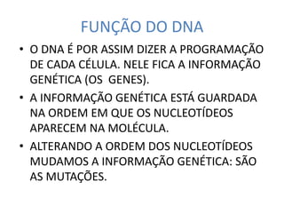 FUNÇÃO DO DNA
• O DNA É POR ASSIM DIZER A PROGRAMAÇÃO
DE CADA CÉLULA. NELE FICA A INFORMAÇÃO
GENÉTICA (OS GENES).
• A INFORMAÇÃO GENÉTICA ESTÁ GUARDADA
NA ORDEM EM QUE OS NUCLEOTÍDEOS
APARECEM NA MOLÉCULA.
• ALTERANDO A ORDEM DOS NUCLEOTÍDEOS
MUDAMOS A INFORMAÇÃO GENÉTICA: SÃO
AS MUTAÇÕES.
 