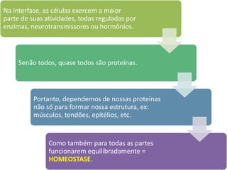 Na interfase, as células exercem a maior
parte de suas atividades, todas reguladas por
enzimas, neurotransmissores ou hormônios.
Senão todos, quase todos são proteínas.
Portanto, dependemos de nossas proteínas
não só para formar nossa estrutura, ex:
músculos, tendões, epitélios, etc.
Como também para todas as partes
funcionarem equilibradamente =
HOMEOSTASE.
 