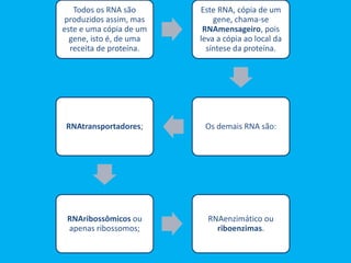 Todos os RNA são
produzidos assim, mas
este e uma cópia de um
gene, isto é, de uma
receita de proteína.
Este RNA, cópia de um
gene, chama-se
RNAmensageiro, pois
leva a cópia ao local da
síntese da proteína.
Os demais RNA são:RNAtransportadores;
RNAribossômicos ou
apenas ribossomos;
RNAenzimático ou
riboenzimas.
 