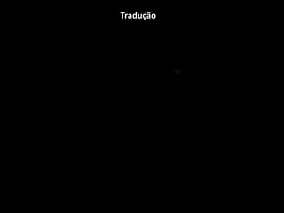 Tradução
 