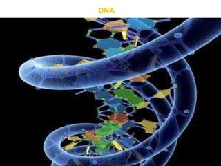 DNA
 