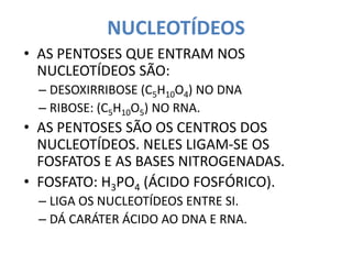 NUCLEOTÍDEOS
• AS PENTOSES QUE ENTRAM NOS
NUCLEOTÍDEOS SÃO:
– DESOXIRRIBOSE (C5H10O4) NO DNA
– RIBOSE: (C5H10O5) NO RNA.
• AS PENTOSES SÃO OS CENTROS DOS
NUCLEOTÍDEOS. NELES LIGAM-SE OS
FOSFATOS E AS BASES NITROGENADAS.
• FOSFATO: H3PO4 (ÁCIDO FOSFÓRICO).
– LIGA OS NUCLEOTÍDEOS ENTRE SI.
– DÁ CARÁTER ÁCIDO AO DNA E RNA.
 
