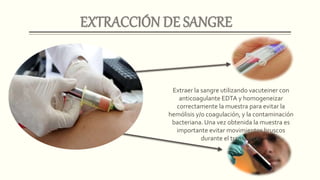 Extraer la sangre utilizando vacuteiner con
anticoagulante EDTA y homogeneizar
correctamente la muestra para evitar la
hemólisis y/o coagulación, y la contaminación
bacteriana. Una vez obtenida la muestra es
importante evitar movimientos bruscos
durante el transporte.
 