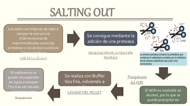 extracción de ADN