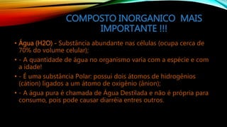 COMPOSTO INORGANICO MAIS
IMPORTANTE !!!
• Água (H2O) - Substância abundante nas células (ocupa cerca de
70% do volume celular);
• - A quantidade de água no organismo varia com a espécie e com
a idade!
• - É uma substância Polar: possui dois átomos de hidrogênios
(cátion) ligados a um átomo de oxigênio (ânion);
• - A água pura é chamada de Água Destilada e não é própria para
consumo, pois pode causar diarréia entres outros.
 