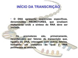 INÍCIO DA TRANSCRIÇÃO O DNA apresenta seqüências específicas, denominadas PROMOTORES, que sinalizam exatamente onde a síntese do RNA deve ser iniciada. Os promotores são, primeiramente, reconhecidos por fatores de transcrição que, ligados ao DNA, interagem com outros fatores, formando um complexo ao qual a RNA polimerase se associa. 