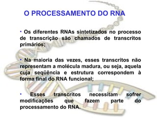 O PROCESSAMENTO DO RNA Os diferentes RNAs sintetizados no processo de transcrição são chamados de transcritos primários; Na maioria das vezes, esses transcritos não representam a molécula madura, ou seja, aquela cuja seqüência e estrutura correspondem à forma final do RNA funcional; Esses transcritos necessitam sofrer modificações que fazem parte do processamento do RNA. 
