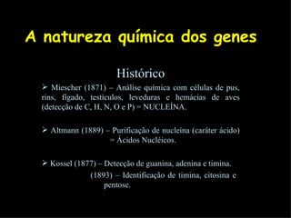 A natureza química dos genes Histórico Miescher (1871) – Análise química com células de pus, rins, fígado, testículos, leveduras e hemácias de aves (detecção de C, H, N, O e P) = NUCLEÍNA. Altmann (1889) – Purificação de nucleína (caráter ácido)    = Ácidos Nucléicos. Kossel (1877) – Detecção de guanina, adenina e timina. (1893) – Identificação de timina, citosina e    pentose. 