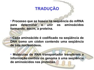 TRADUÇÃO Processo que se baseia na seqüência do mRNA para determinar e unir os aminoácidos formando, assim, a proteína. Cada aminoácido é codificado na seqüência de DNA como um códon contendo uma seqüência de três nucleotídeos. Moléculas de RNA transportador transferem a informação contida no genoma à uma seqüência de aminoácidos nas proteínas. 