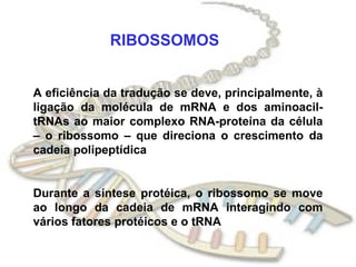 RIBOSSOMOS A eficiência da tradução se deve, principalmente, à ligação da molécula de mRNA e dos aminoacil-tRNAs ao maior complexo RNA-proteína da célula – o ribossomo – que direciona o crescimento da cadeia polipeptídica Durante a síntese protéica, o ribossomo se move ao longo da cadeia de mRNA interagindo com vários fatores protéicos e o tRNA 