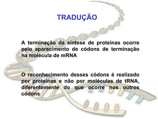 TRADUÇÃO A terminação da síntese de proteínas ocorre pelo aparecimento de códons de terminação na molécula de mRNA O reconhecimento desses códons é realizado por proteínas e não por moléculas de tRNA, diferentemente do que ocorre nos outros códons 