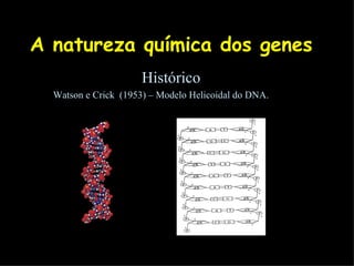 A natureza química dos genes Histórico Watson e Crick  (1953) – Modelo Helicoidal do DNA. 
