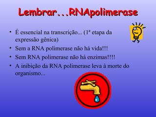 Lembrar...RNApolimerase É essencial na transcrição... (1ª etapa da expressão gênica) Sem a RNA polimerase não há vida!!! Sem RNA polimerase não há enzimas!!!! A inibição da RNA polimerase leva à morte do organismo... 