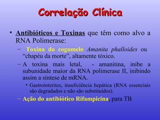 Correlação Clínica Antibióticos e Toxinas  que têm como alvo a RNA Polimerase: Toxina do cogumelo   Amanita phalloides  ou  “chapéu da morte”, altamente tóxico. A toxina mais letal,  - amanitina, inibe a subunidade maior da RNA polimerase II, inibindo assim a síntese de mRNA. Gastrointerites, insuficiência hepática (RNA essenciais são degradados e não são substituídos). Ação do antibiótico Rifampicina , para TB 