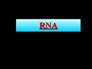 RNA 