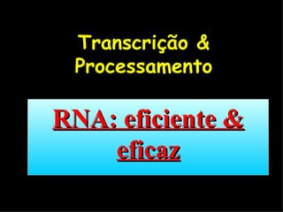 Transcrição & Processamento RNA: eficiente & eficaz 
